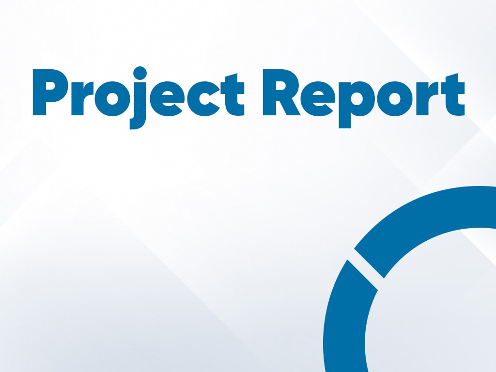 Project Report